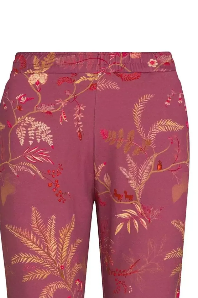 Lange Sporthose Isola