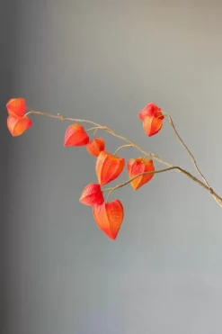 Pip Kunstliche Blumen Fall Beauty