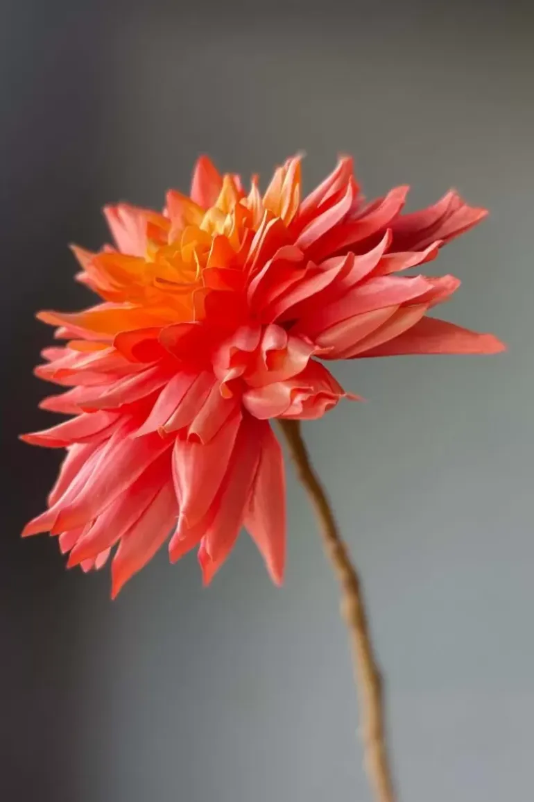Pip Kunstliche Blumen Sweet Symphony
