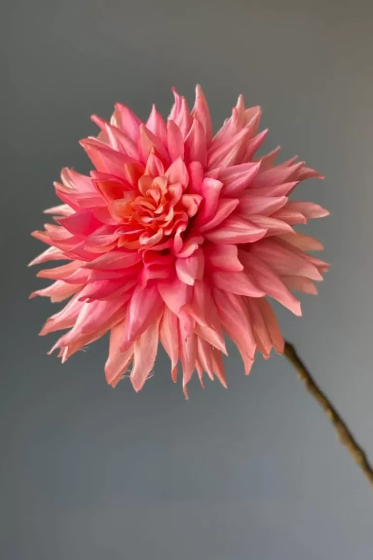 Pip Kunstliche Blumen Vanilla Bloom