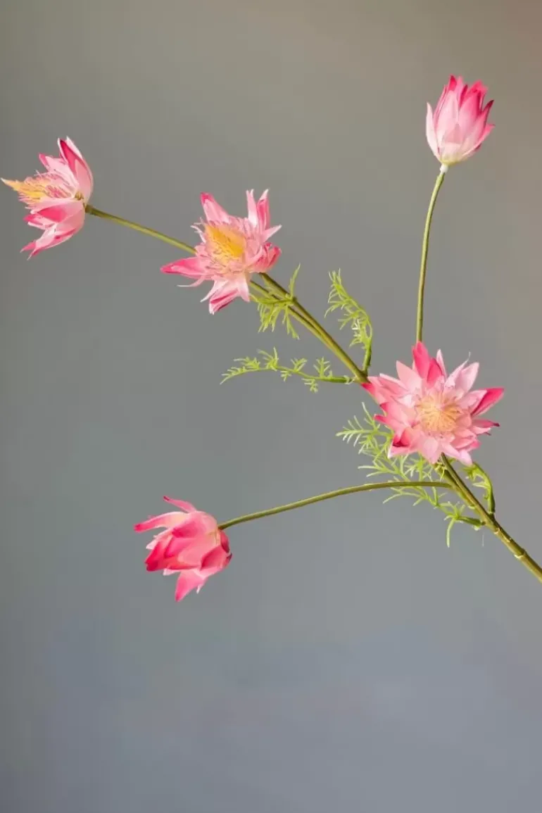 Pip Kunstliche Blumen Vanilla Bloom