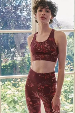 Sport Bh Isola Dunkel